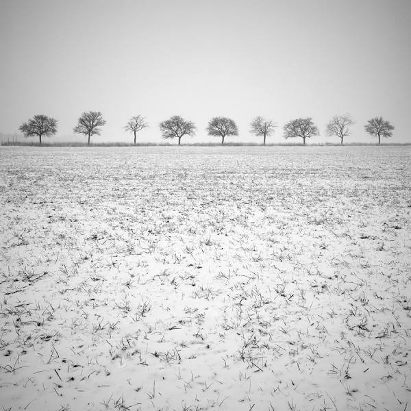Photograph Alain Baumgarten Nine on One Eyeland