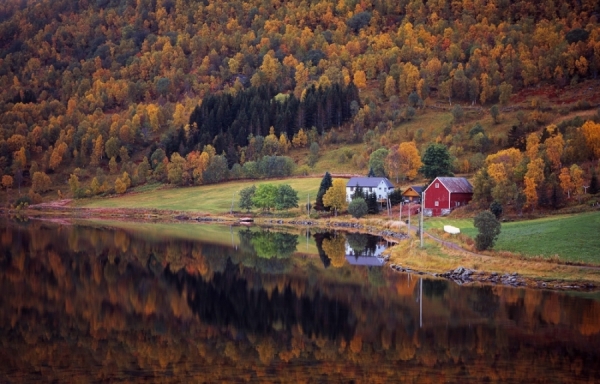 Photograph Paul Hart Norway In The Fall on One Eyeland