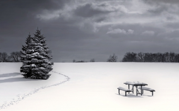Photograph Anthony Aicardi Not Today on One Eyeland