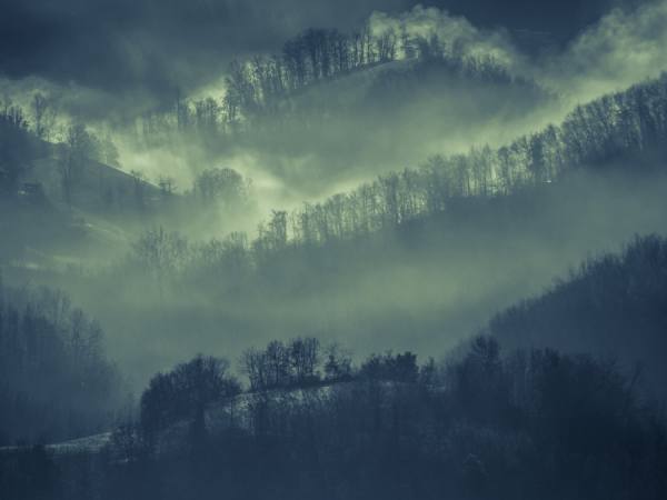 Photograph Enzo Crispino Nuova Luce Sul Bosco on One Eyeland