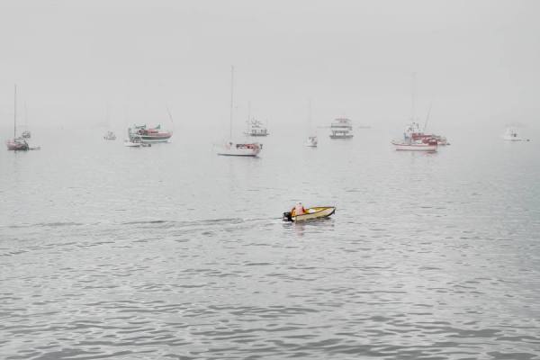 Photograph Ryan Edy On Looking on One Eyeland