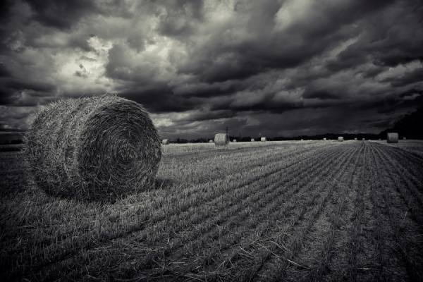 Photograph Roland Shainidze Out Of Muskoka on One Eyeland