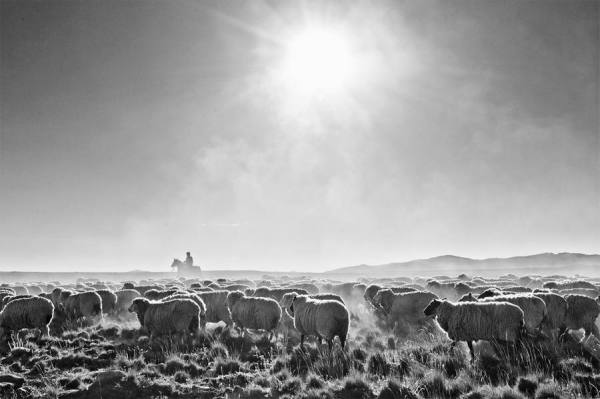 Photograph Marcelo Dufflocq Ovejero on One Eyeland