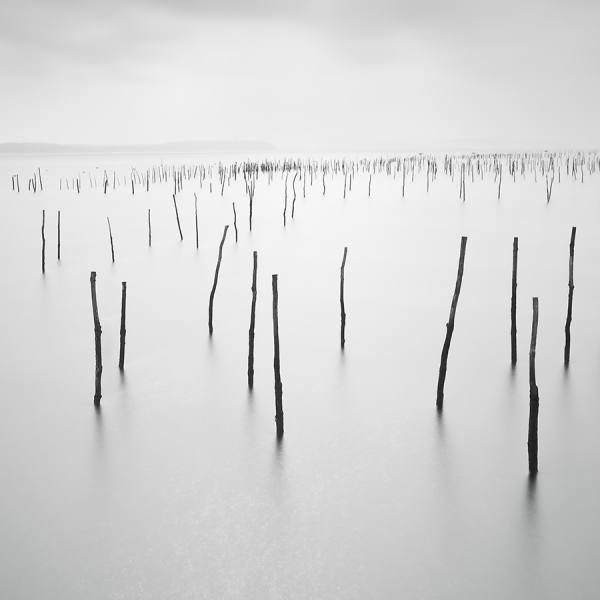 Photograph Rafa Herrero Oysterland on One Eyeland