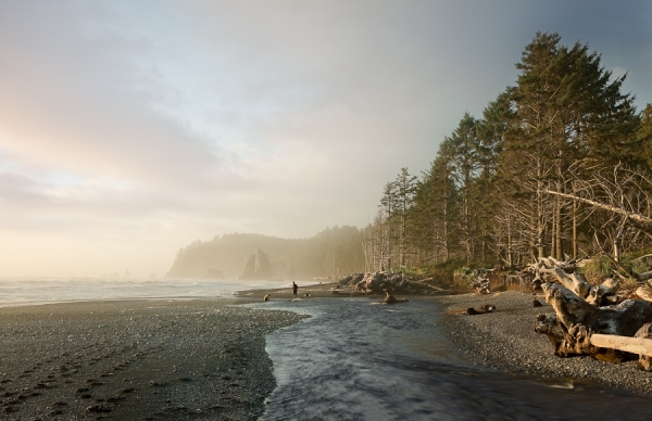 Photograph Andy Mahr Pacific Northwest on One Eyeland