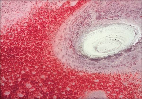 Photograph Max Serradifalco Pink Galaxy Tanzania on One Eyeland