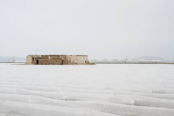 Photograph Bruno Banalli Plastic Sea on One Eyeland