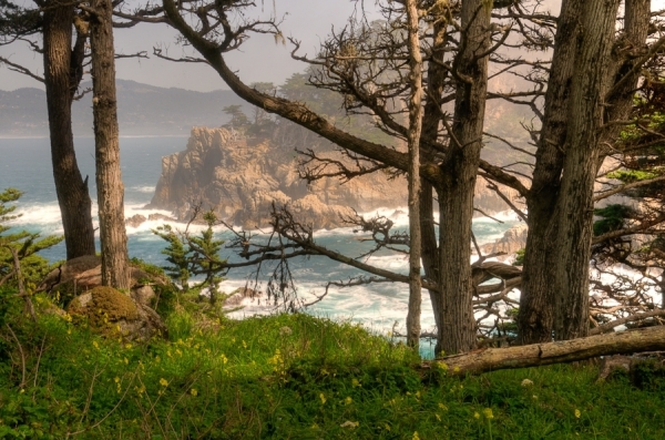 Photograph Frank Leonard Point Lobos on One Eyeland