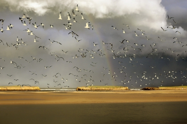 Photograph Henri Pillet Rainbow Sunset on One Eyeland
