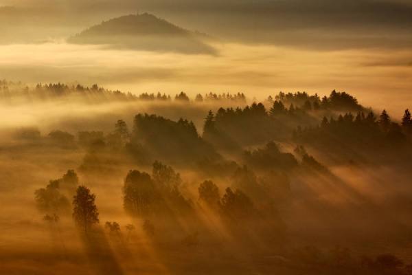 Photograph Martin Rak Rays In The Mist on One Eyeland