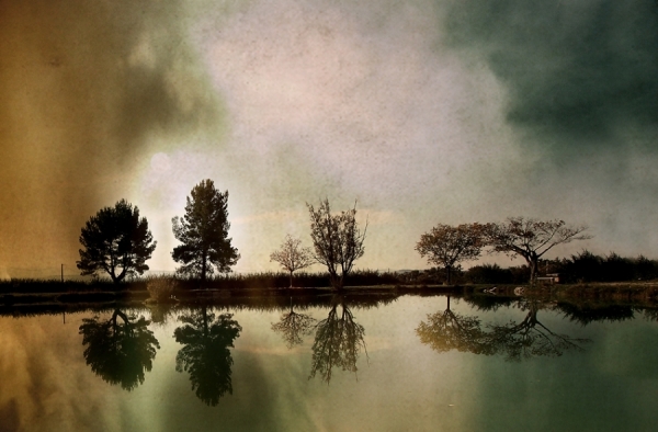 Photograph Eric Frey Reflets on One Eyeland
