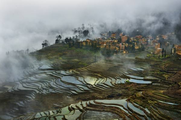 Photograph Thierry Bornier Rice Field Terrace In The Mist on One Eyeland