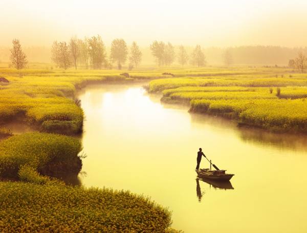 Photograph Thierry Bornier River Of Rapeseed on One Eyeland