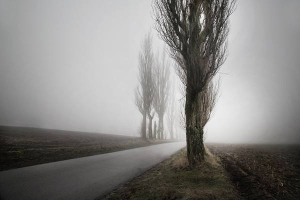 Photograph Andrzej Bochenski Road To Nowhere on One Eyeland
