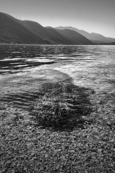Photograph Eugenia Kyriakopoulou Sea Weed on One Eyeland