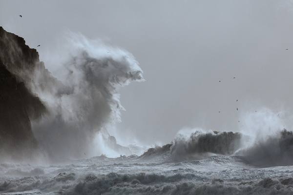 Photograph Michael Swallow Seagulls And Waves At Porth Ceiriad on One Eyeland