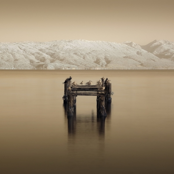 Photograph Ilcho Trajkovski Seagulls on One Eyeland