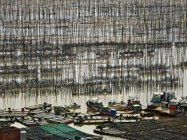 Photograph Thierry Bornier Seaweed Farm on One Eyeland