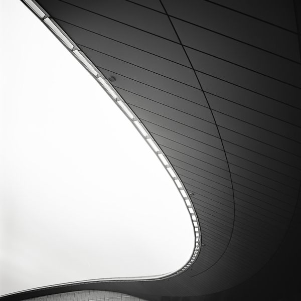 Photograph Stefano Orazzini Seductive Ceiling on One Eyeland