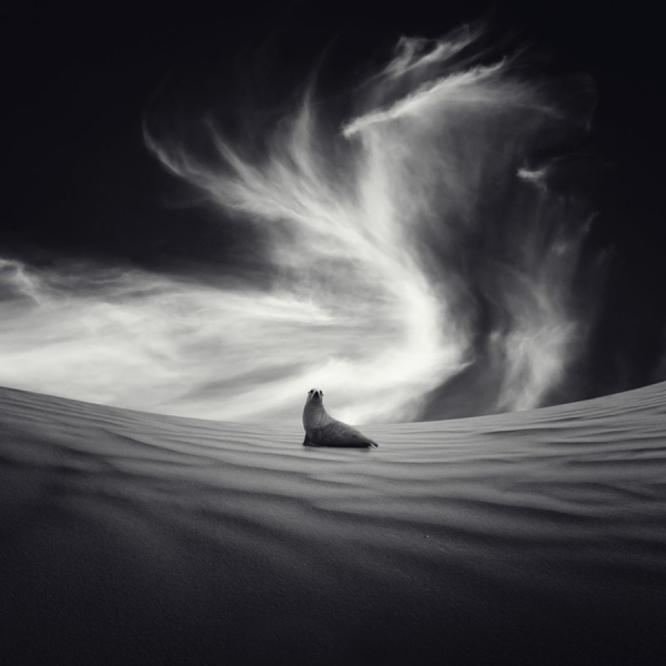 Photograph Luis Beltran Sequia on One Eyeland