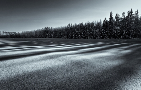 Photograph Joni Niemela Shadows on One Eyeland
