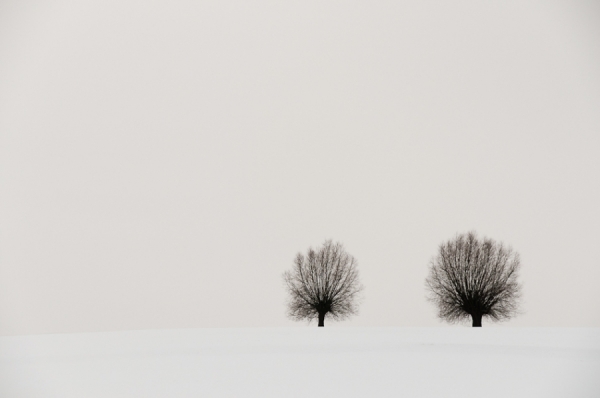 Photograph Papa Frezzo Shared Solitude on One Eyeland