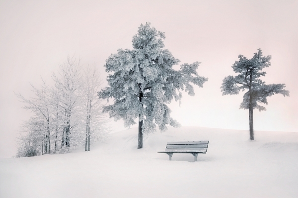 Photograph Mikko Lagerstedt Silence Of Winter on One Eyeland