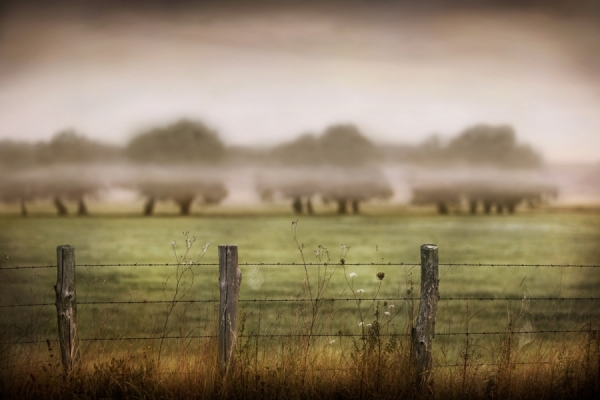 Photograph Jimmy Williams Silent Dawn Loire Valley on One Eyeland