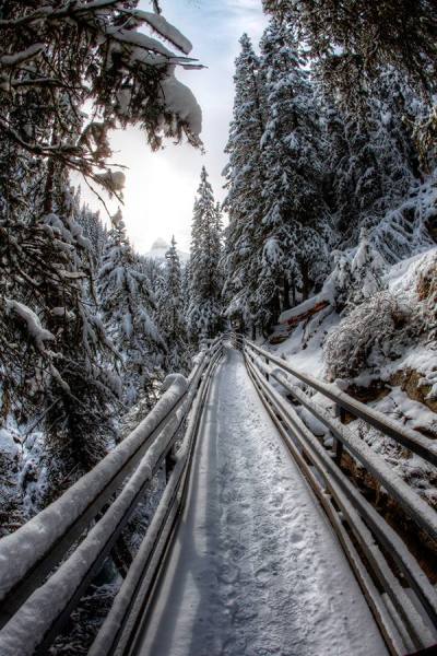 Photograph Larry Hamill Slippery Path on One Eyeland