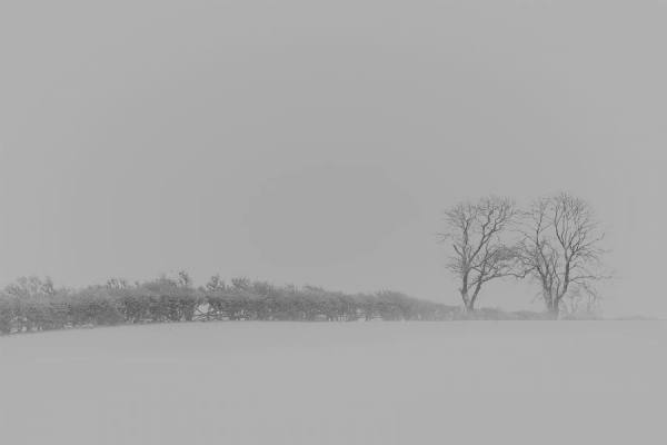Photograph Ryan Edy Snow on One Eyeland