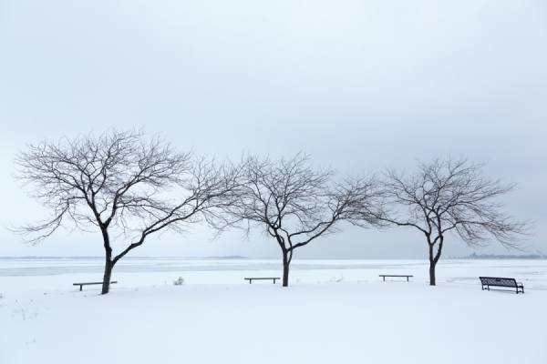 Photograph Eric Prine Snowscape on One Eyeland