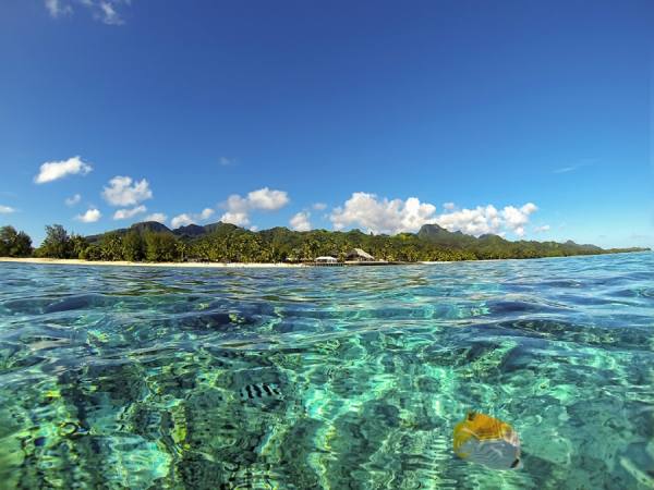 Photograph Mauro Risch South Pacific on One Eyeland