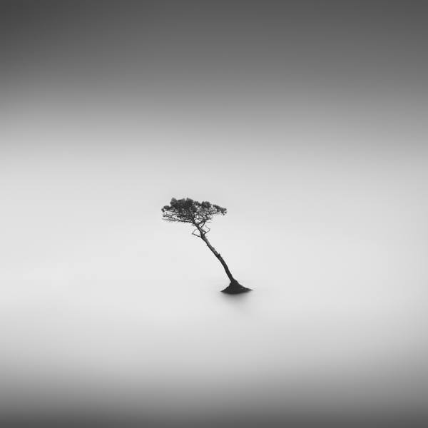 Photograph Juan Sixto St1 on One Eyeland
