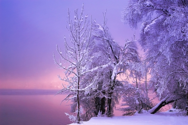 Photograph Norbert Maier Stillness on One Eyeland