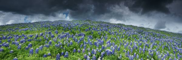 Photograph Craig Bill Stormy Blues on One Eyeland