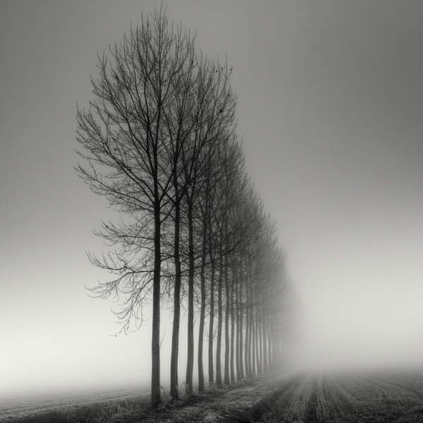 Photograph Pierre Pellegrini Strictly Aligned on One Eyeland