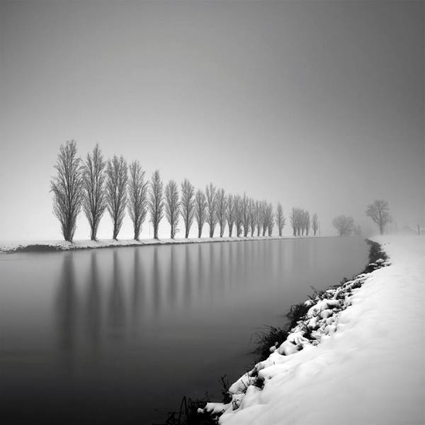 Photograph Pierre Pellegrini Strictly Motionless In The Chill Of Winter on One Eyeland