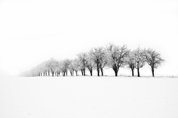 Photograph Stefan Bielcik Stromy on One Eyeland