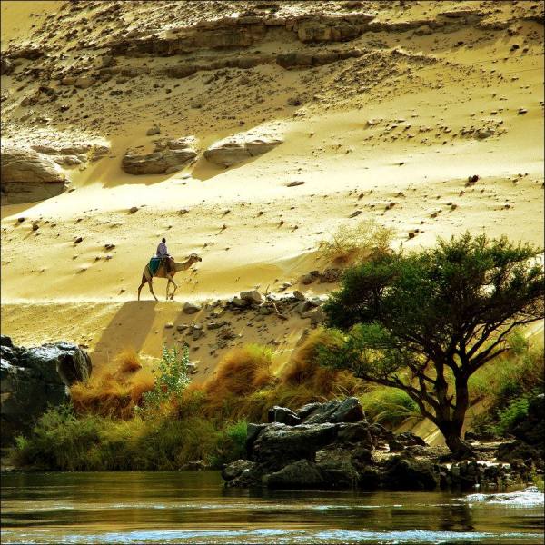 Photograph Vesna Stojkovic Sunny Days In Aswan on One Eyeland