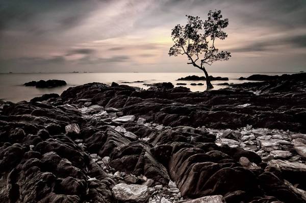 Photograph Calles Gunawan Survive Alone on One Eyeland
