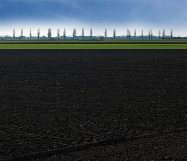Photograph Arpi Adamovic The Black Earth on One Eyeland