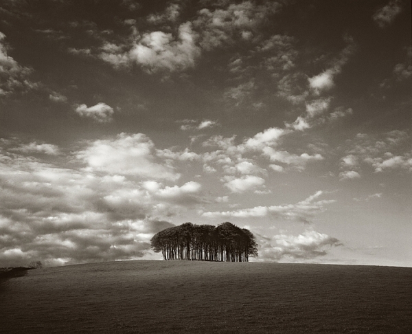 Photograph Craig Easton The Copse on One Eyeland