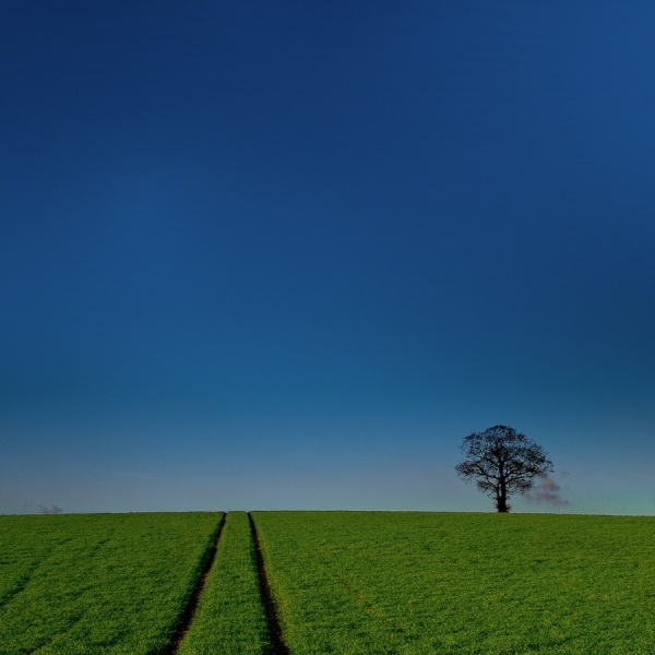 Photograph Benjamin Arthur The Field on One Eyeland