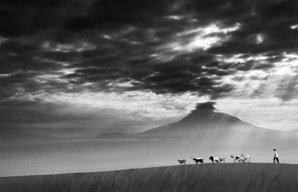 Photograph Muh Yusri The Herder on One Eyeland