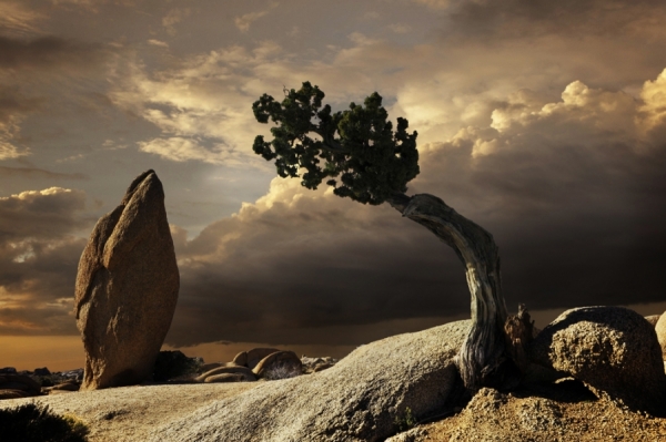 Photograph Pete Saloutos The Sentinel on One Eyeland