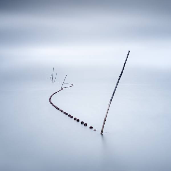 Photograph Xose Casal The Snake on One Eyeland