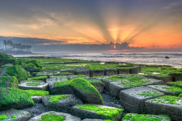 Photograph Manu Teja The Tahu on One Eyeland