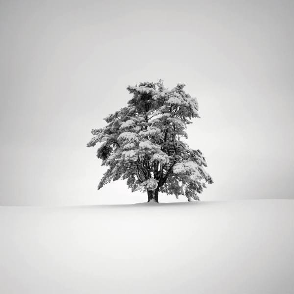 Photograph Pierre Pellegrini The White Dress Of Winter on One Eyeland