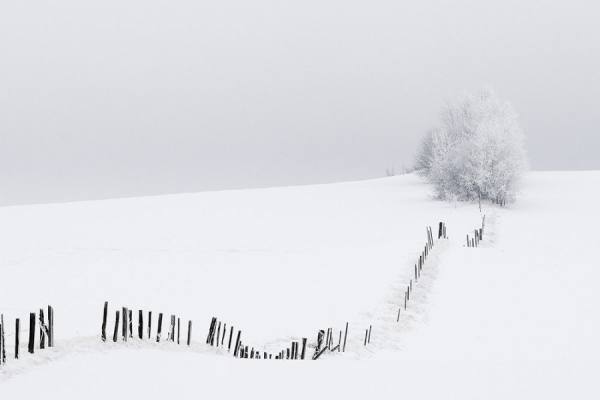 Photograph Jared Lawson The Winter Fence on One Eyeland