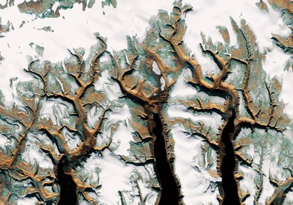 Photograph Max Serradifalco Thorn Bush Canada on One Eyeland